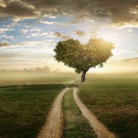 Nie płacz Ewka – podkład muzyczny (karaoke bez wokalu)